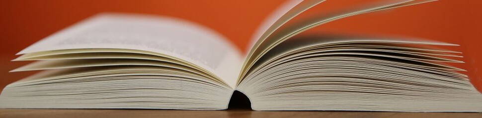 Publikacja Springer Proceedings in Business Economics (SPBE)