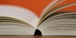 Publikacja Springer Proceedings in Business Economics (SPBE)