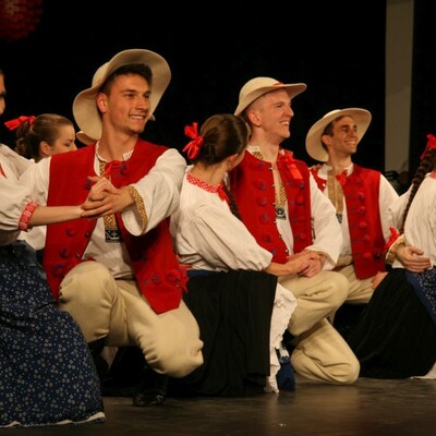 Silesianie w Słowenii