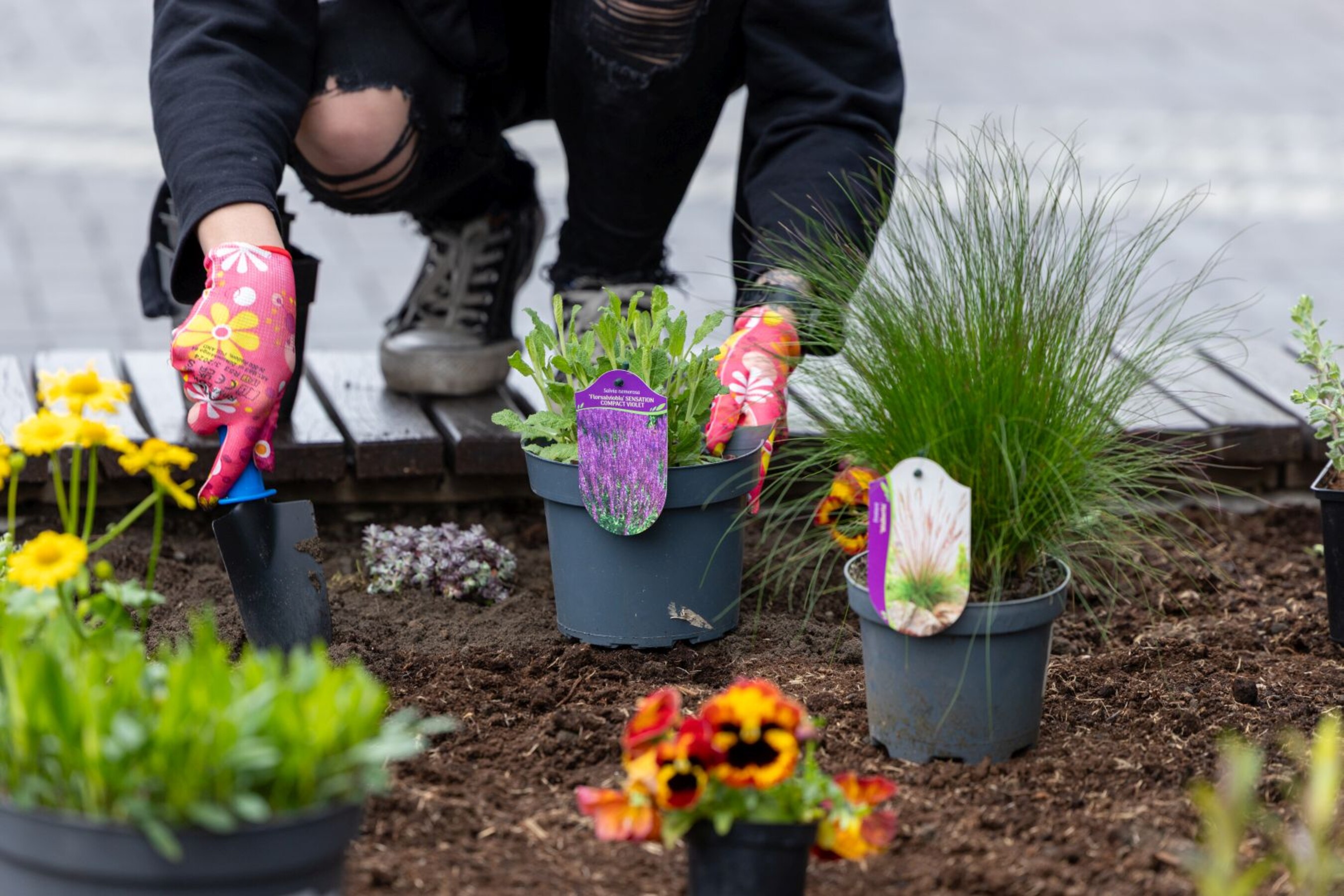 20 04 2026 Dzien-Ziemi  13 