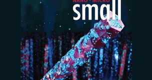 Cover of the scientific journal Small, featuring a digitally rendered nano-structure in shades of blue and pink against a dark, abstract background.