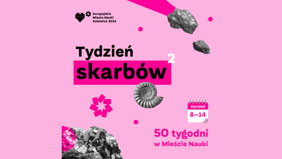 tydzień skarbów