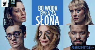 grafika promocyjna