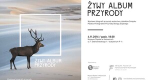 Muzeum Śląskie zaprasza na wystawę fotografii
