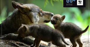 Uniwersytet odpowiedzialny społecznie