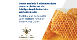 grafika projektowa