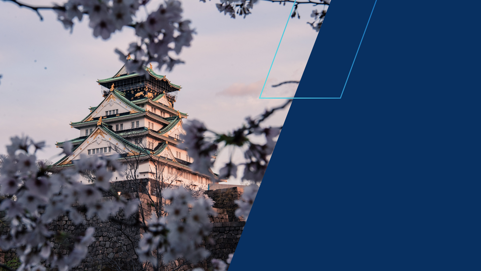 Widok na tradycyjny japoński zamek otoczony kwitnącymi gałęziami wiśni, sfotografowany o zmierzchu; po prawej stronie kompozycję uzupełnia granatowy geometryczny kształt.