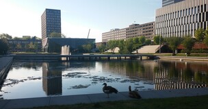 Badania pracownika UE Katowice w Rotterdamie