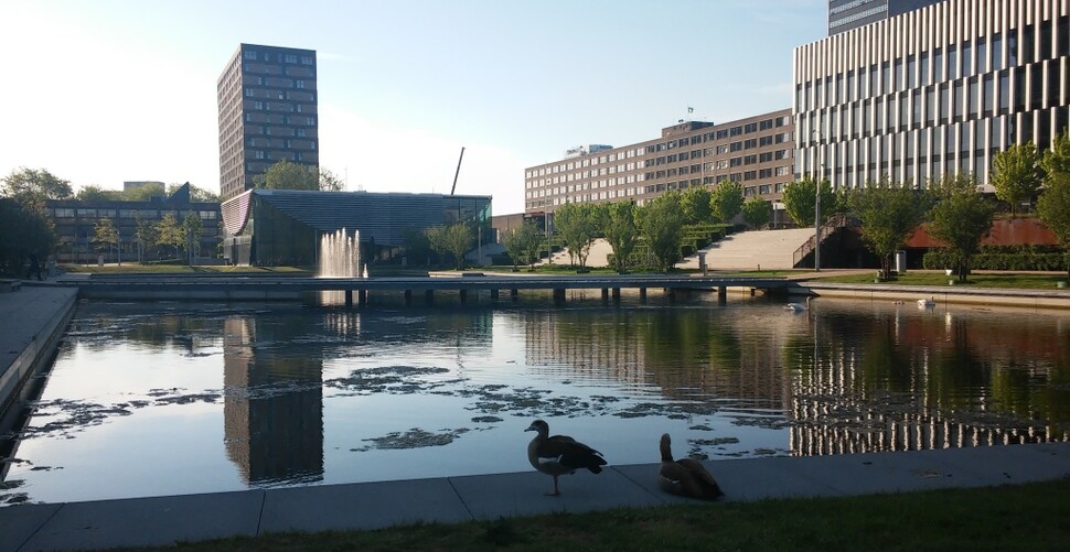 Badania pracownika UE Katowice w Rotterdamie