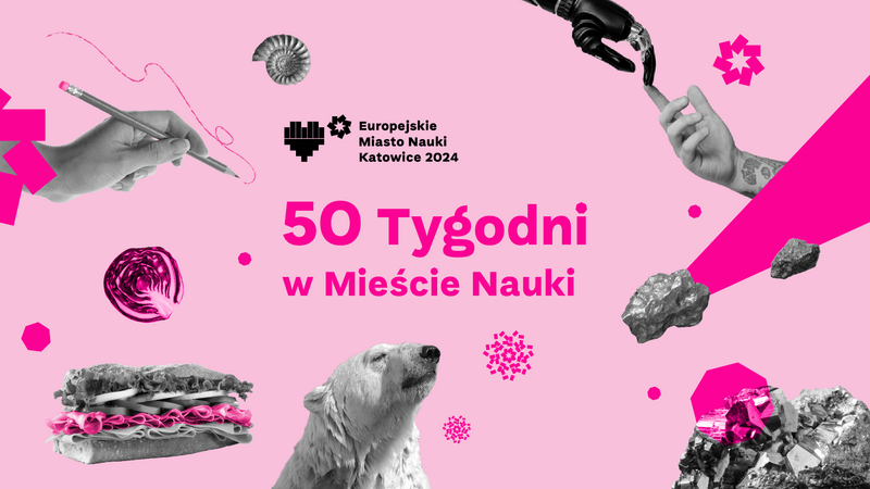 50 Tygodni w Mieście Nauki