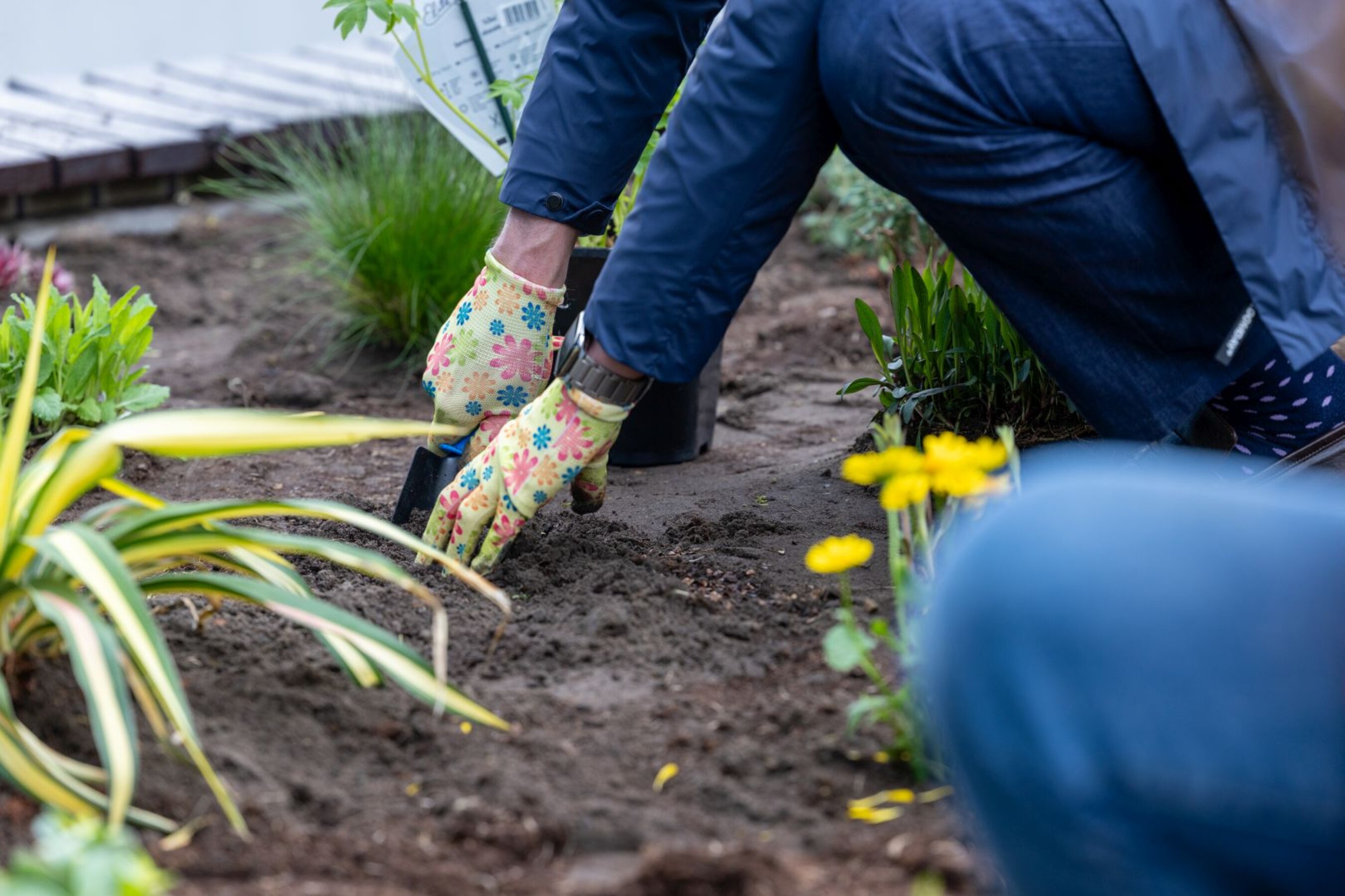 20 04 2026 Dzien-Ziemi  38 