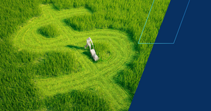 Aerial view of a person walking through a green landscape maze, symbolizing sustainable finance.