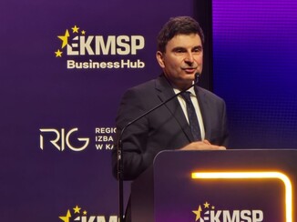 Marek Wójcik, Wojewoda Śląski