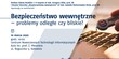 Bezpieczeństwo wewnętrzne – problemy odległe czy bliskie?