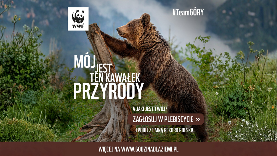 Zdjęcie przedstawia niedźwiedzia brunatnego stojącego na tylnych łapach i opierającego się o pień drzewa w górskim, zielonym krajobrazie. Na obrazie widnieje logo WWF oraz hasła promocyjne w języku polskim, m.in. „Mój jest ten kawałek przyrody” i „Zagłosuj w plebiscycie”, zachęcające do udziału w akcji ochrony natury.