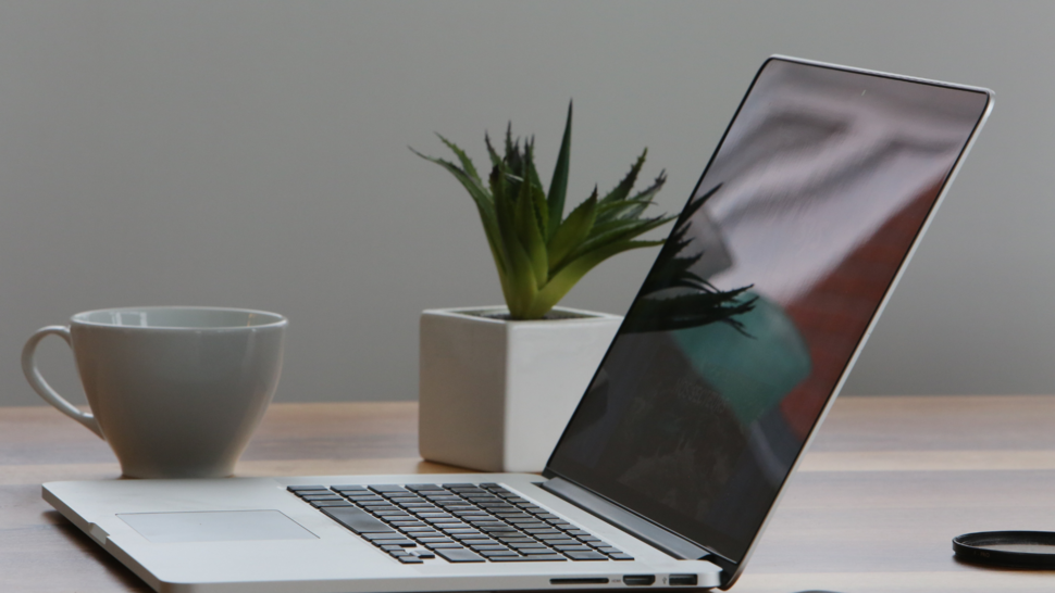 Na biurku leży laptop, kubek i doniczka z kwiatkiem