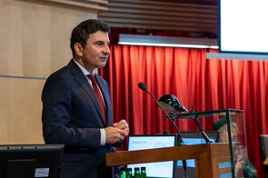 Marek Wójcik, Wojewoda Śląski