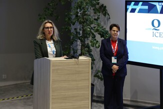 Renata Decewicz, Zastępca Dyrektora Biura Programów Szkolnictwa Wyższego w biurze FRSE