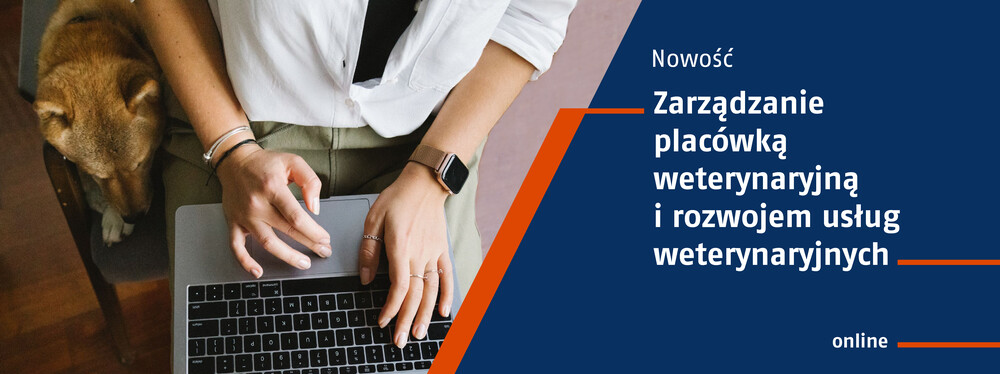 Widok z góryna kobietę pracującą na laptopie i towarzyszącego jej psa