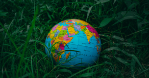 kula ziemska na trawie