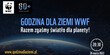 informacje dotyczące godziny dla ziemi oraz zdjęcie planety widzianej z kosmosu
