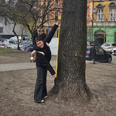 Studentka wykonująca pomiary pnia drzewa.