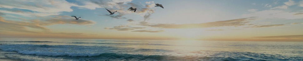 Bezpłatna terapia dla studentów studiujących w Katowicach