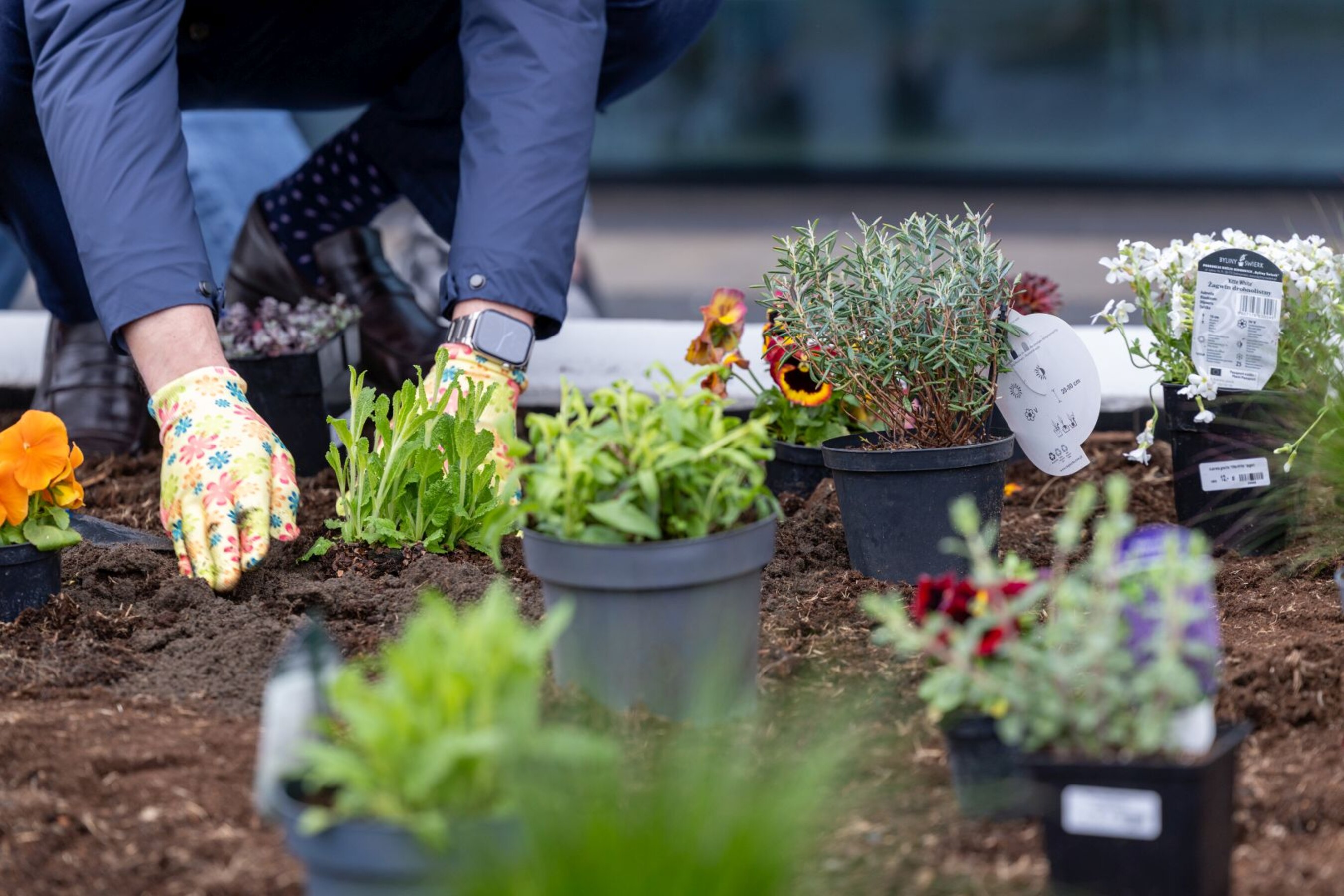 20 04 2026 Dzien-Ziemi  10 