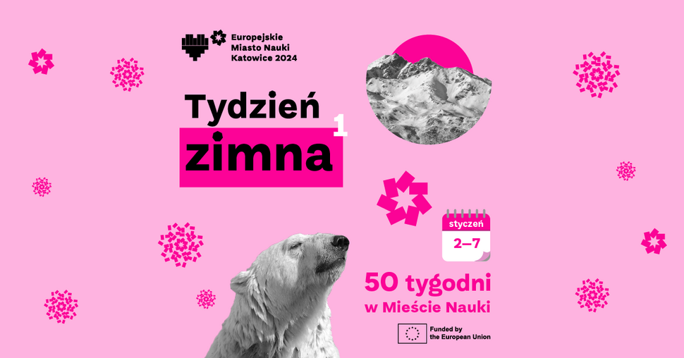 Tydzień Zimna w Mieście Nauki