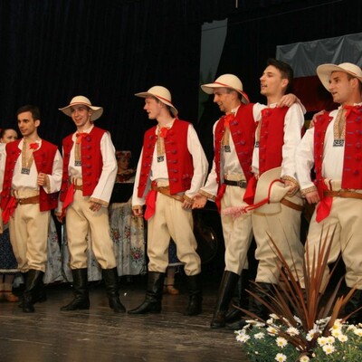 Silesianie w Słowenii