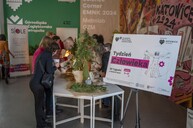 aktywności w Kato Science Corner