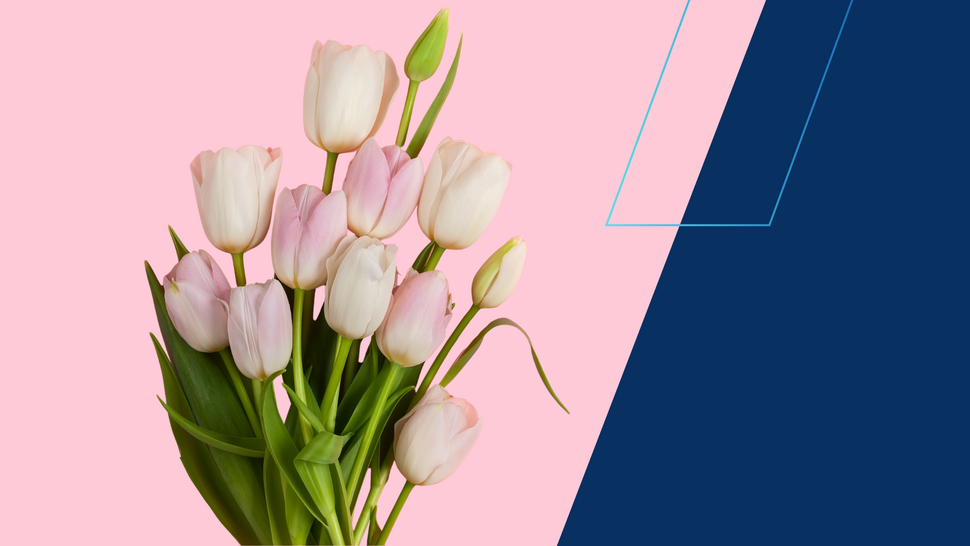 Tulipany - grafika ozdobna